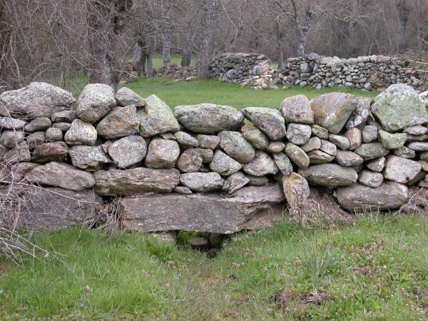Patrimonio de los Sistemas agroalimentarios de montaña