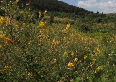 Finca El Plantío