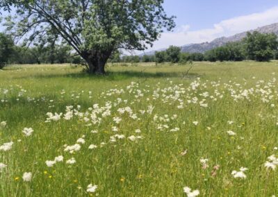 Finca Prado Herrero