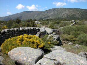 Caracterización de los agropaisajes