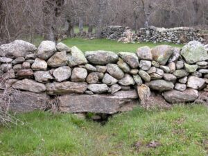 Patrimonio de los Sistemas agroalimentarios de montaña