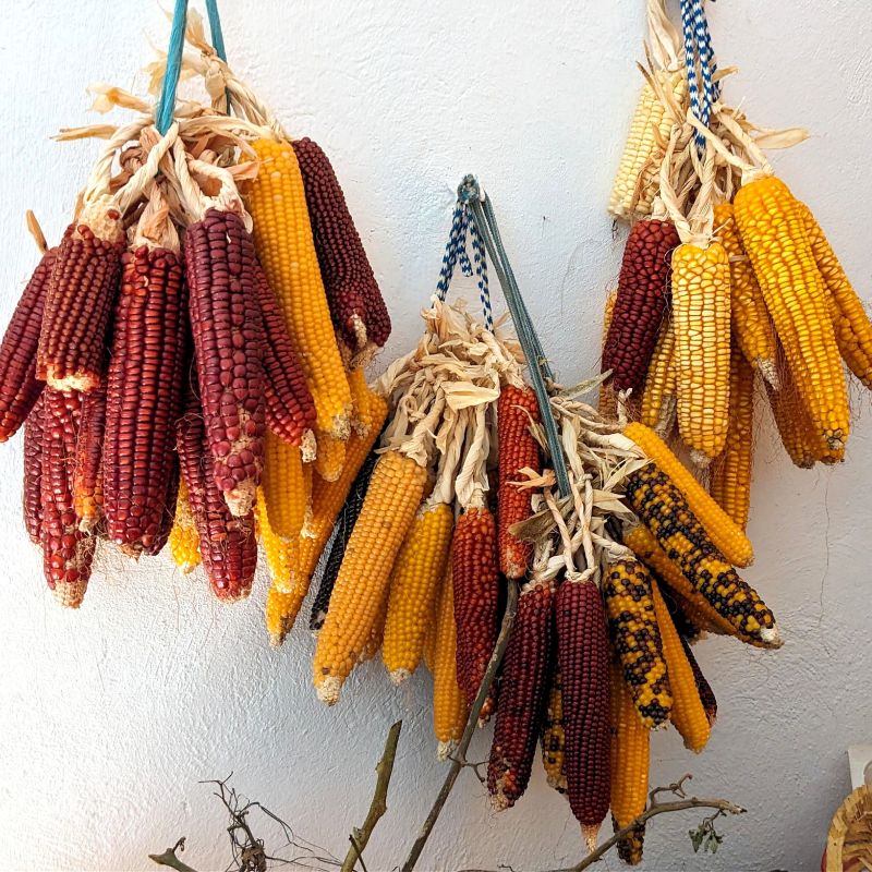 Patrimonio de los Sistemas agroalimentarios de montaña
